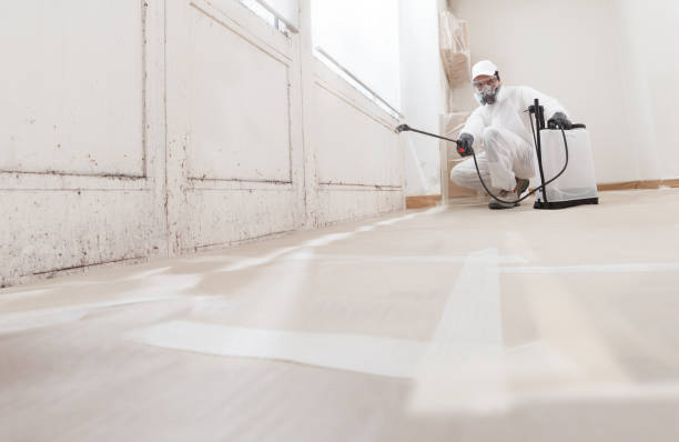 24/7 Emergency Attic Mold Remediation experts in Fort Eustis, VA